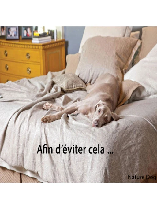 Mini-Barrière De Délimitation Pawz Away PetSafe – Image 3