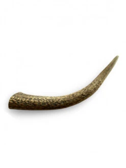 Bois De Cerf XL Vrac