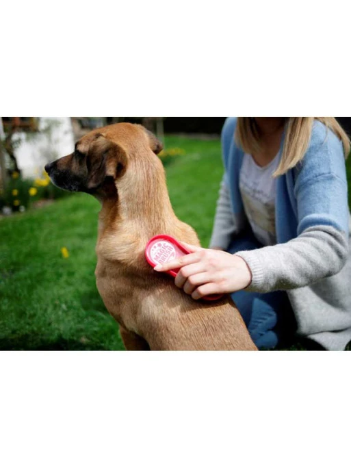 Brosse Chien MagicBrush – Image 2
