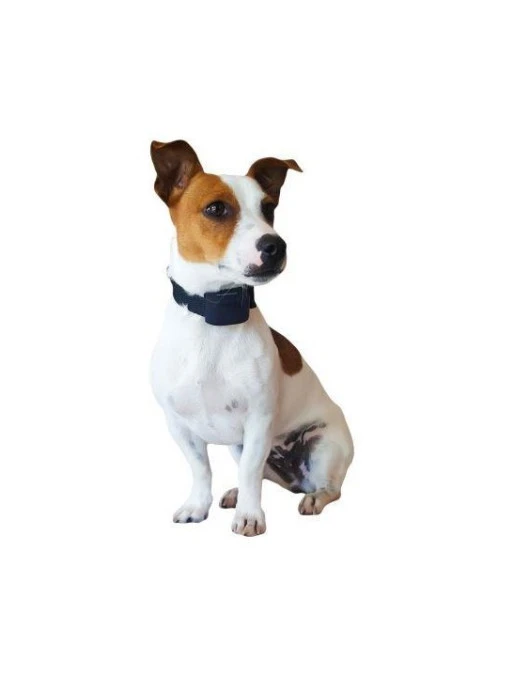 Clôture Anti-fugue Num'axes Canifugue Small