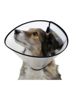 Collerette Pour Chien Kerbl