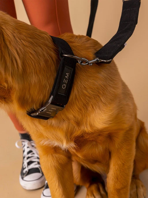 Collier En Velours Cotelé GEM – Image 4