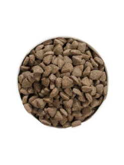 Croquettes Grain Free Prime Adult Lamb 12kg Ownat