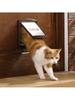 Extension De Tunnel Porte Staywell à 2 Positions PetSafe