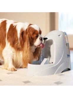 Fontaine Drinkwell Platinum 5 L PetSafe