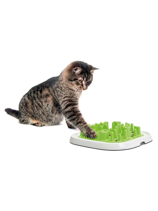 Gamelle éducative Enigma L 20 Vadigran – Image 2