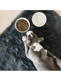 Gamelle Pour Chien Bamboo Terrazzo Kentucky