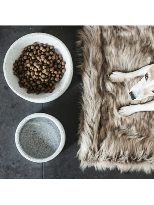 Gamelle Pour Chien Granit Kentucky – Image 2