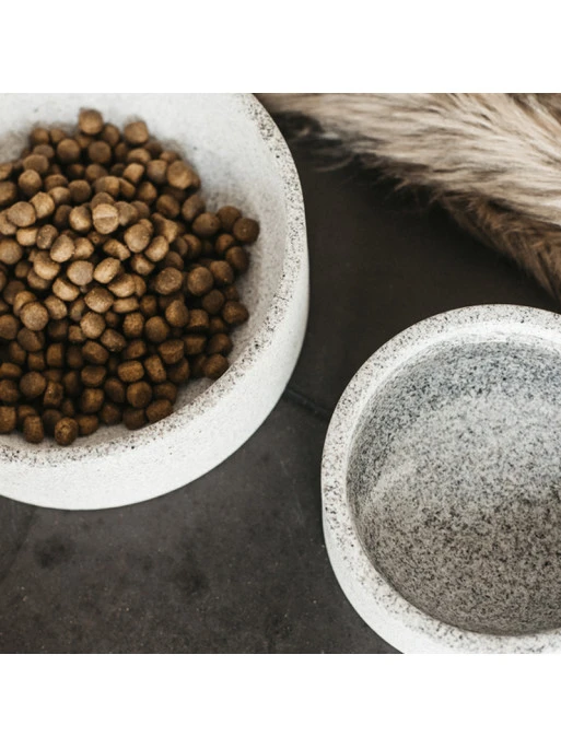 Gamelle Pour Chien Granit Kentucky – Image 3