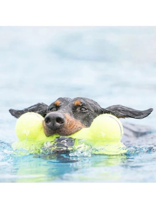 Jouet Chien Squeaker Bone Kong – Image 2