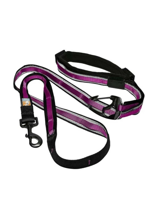 Laisse 6 En 1 Quantum Kurgo