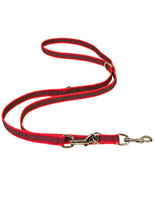 Laisse Color Gomme Multipositions Difac