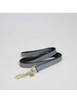 Laisse Pour Chien Loop Kentucky