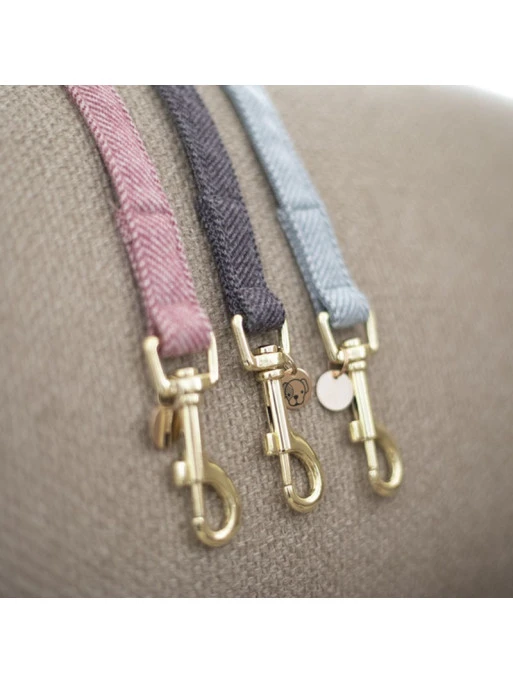 Laisse Pour Chien Wool Kentucky