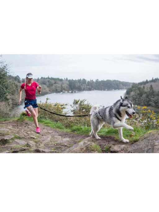 Longe De Traction Raidlight I-Dog