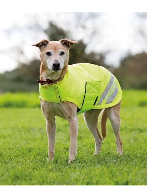 Manteau Pour Chien Equi-Flector – Image 2