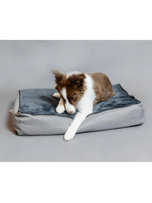 Matelas Pour Chien Soft Pillow Kentucky – Image 3