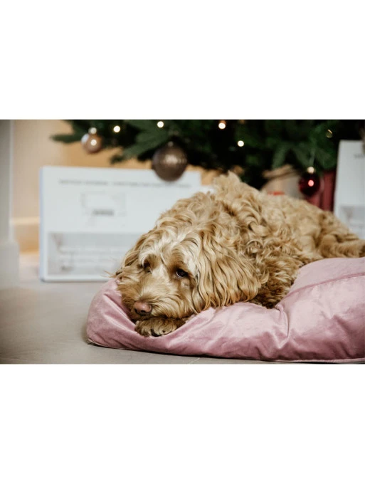 Matelas Pour Chien Velvet Kentucky – Image 2