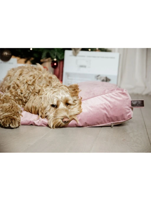 Matelas Pour Chien Velvet Kentucky – Image 4