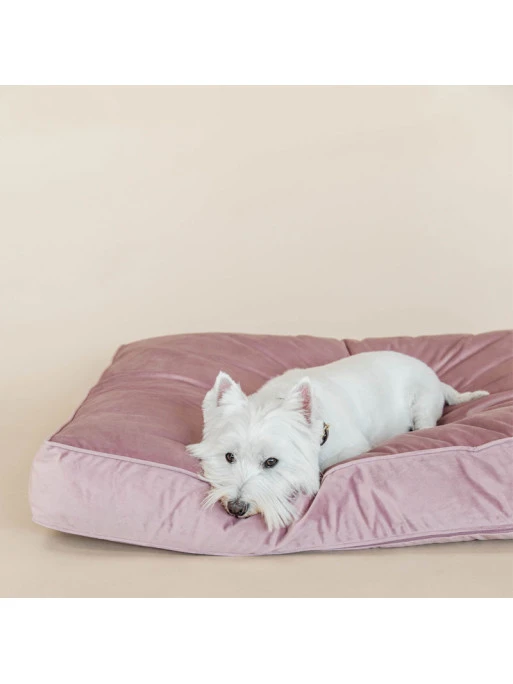 Matelas Pour Chien Velvet Kentucky – Image 7