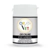 Or-Calme 60 Comprimés Or-Vet