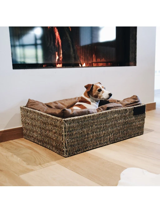 Panier Pour Chien Basket Kentucky – Image 4