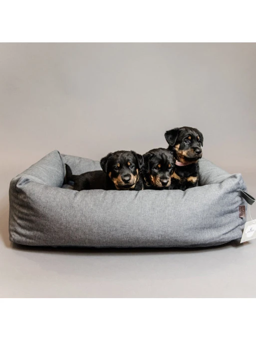 Panier Pour Chien Soft Sleep Kentucky – Image 2