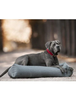 Panier Pour Chien Soft Sleep Kentucky