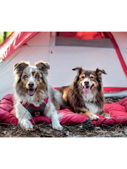 Plaid De Voyage Pour Chien Loft Wander Kurgo – Image 2