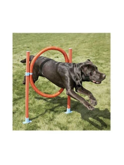 Rosewood Pneu Agility Garden