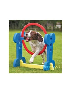 Rosewood Pneu Agility Indoor