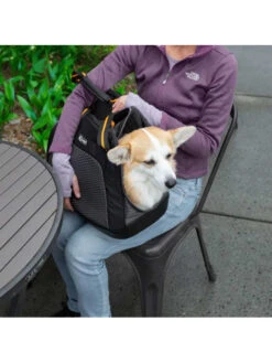 Sac De Transport Chien Explorer Kurgo
