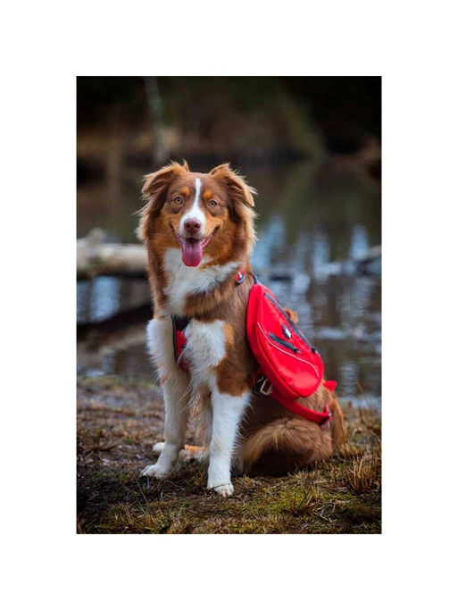 Sacoches Pour Harnais Confort Trek 2.3L XXS/XS/S I-DOG – Image 2