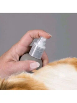 Shampoing Sec Premium Pour Chien 200 Ml Beaphar