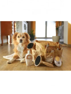 Shampoing Universel Chien 200ml MagicBrush