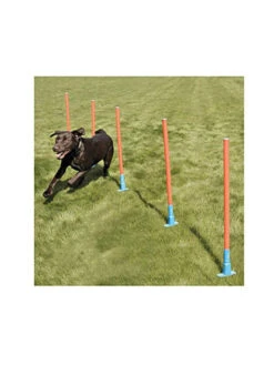 Rosewood Slalom Agility Garden