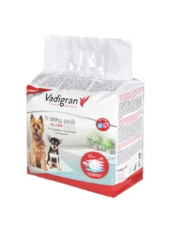 Tapis éducateurs Pour Chien 45x30cm Vadigran