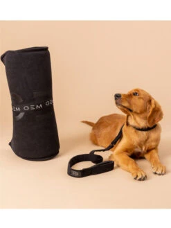 Tapis Nomade Pour Chien 40x60 GEM