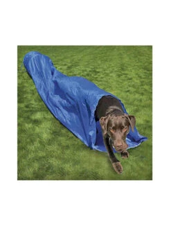 Rosewood Tunnel Agility Garden